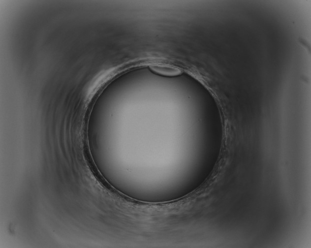 X0000101110007200807031751