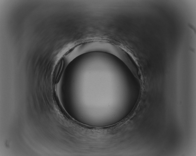 X0000101110008200807031751