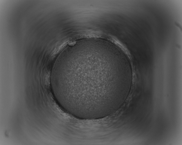 X0000101110009200807031751