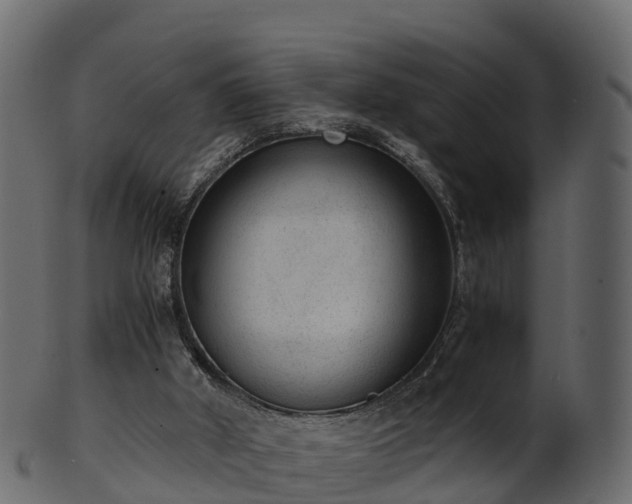 X0000101110010200807031751