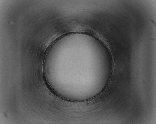 X0000101110011200807031751