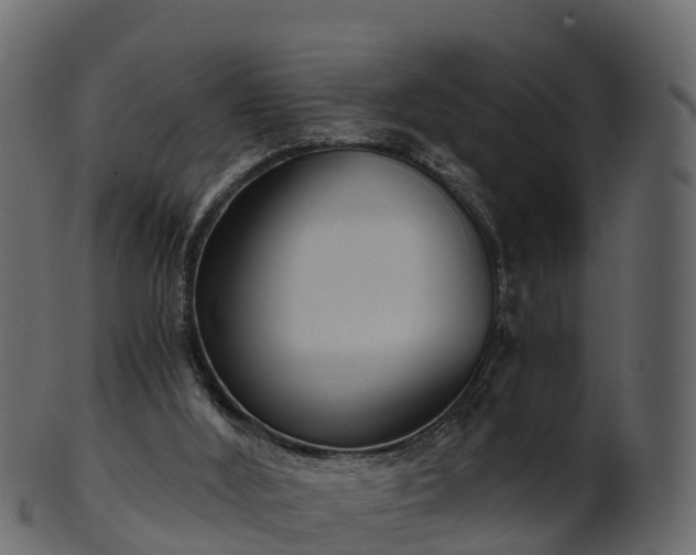 X0000101110012200807031751