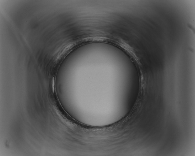 X0000101110013200807031751