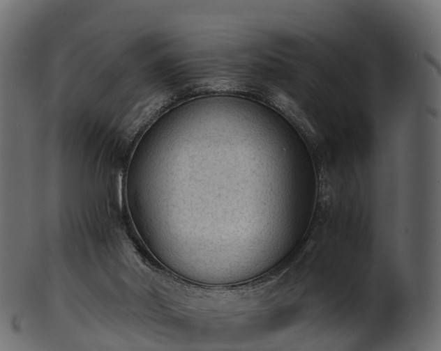 X0000101110014200807031751
