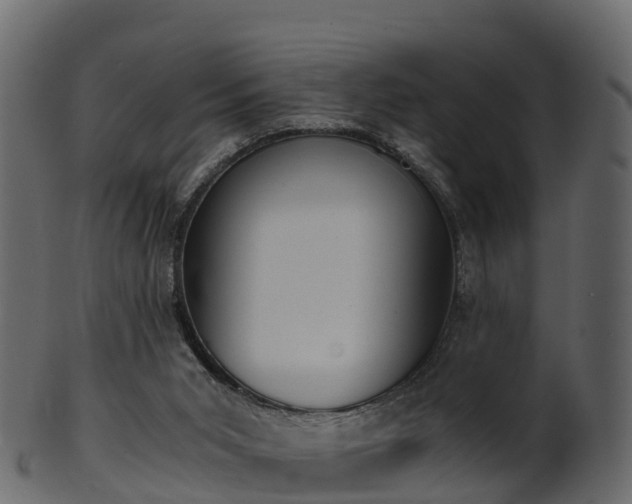 X0000101110015200807031751