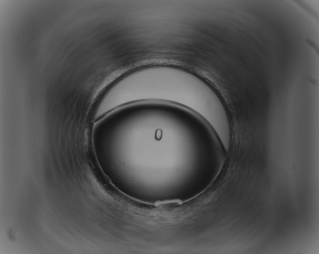 X0000101110016200807031751
