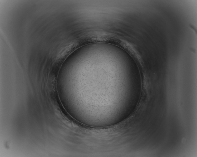 X0000101110017200807031751