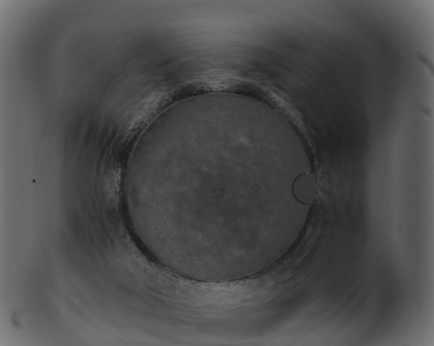 X0000101110018200807031751
