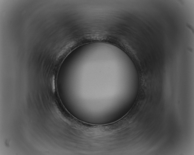 X0000101110020200807031751