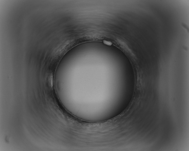 X0000101110021200807031751