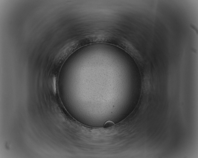 X0000101110022200807031751