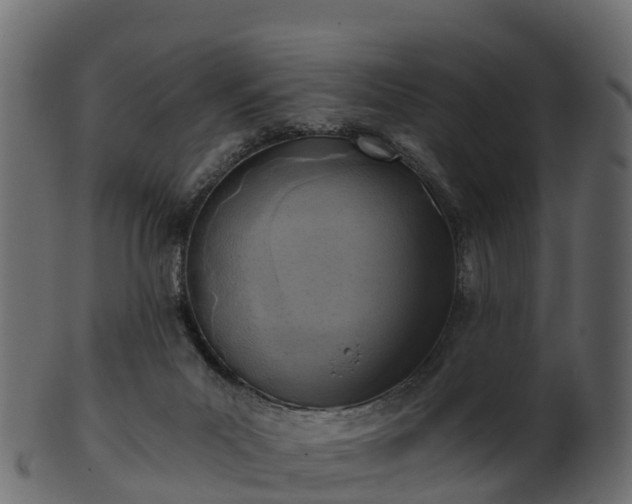 X0000101110023200807031751