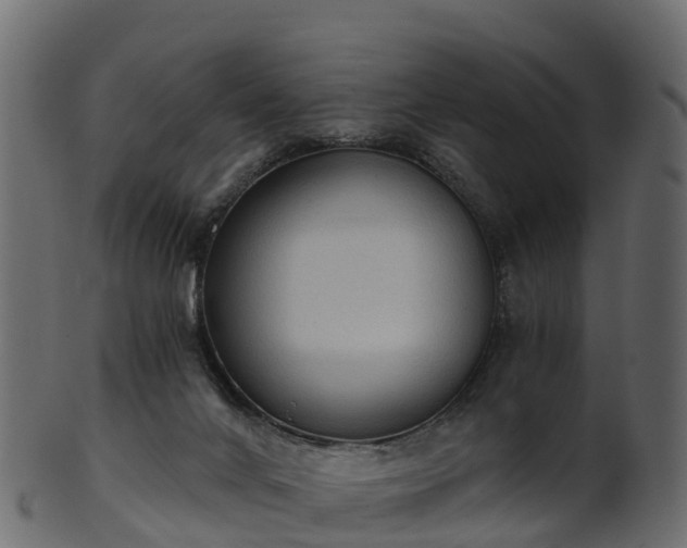 X0000101110024200807031751