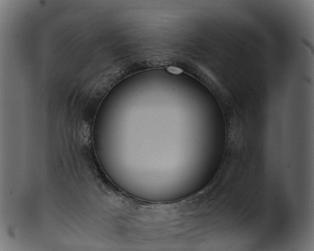X0000101110025200807031751