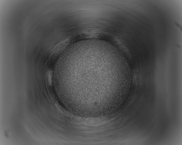 X0000101110026200807031751