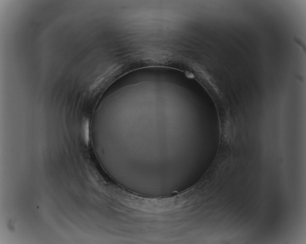 X0000101110027200807031751