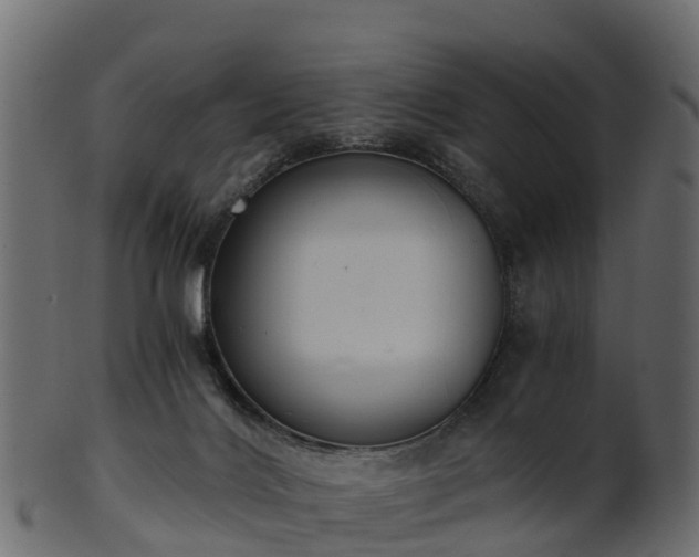 X0000101110028200807031751