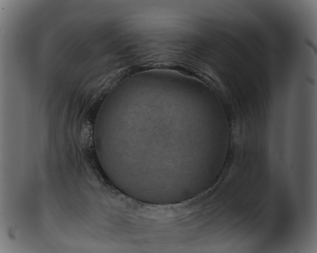 X0000101110029200807031751