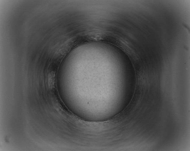 X0000101110030200807031750