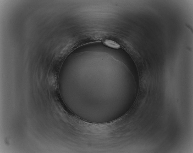 X0000101110031200807031750
