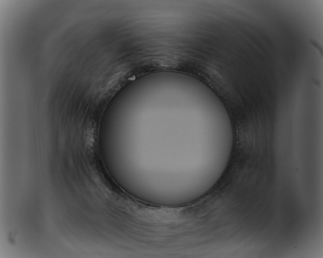X0000101110032200807031750