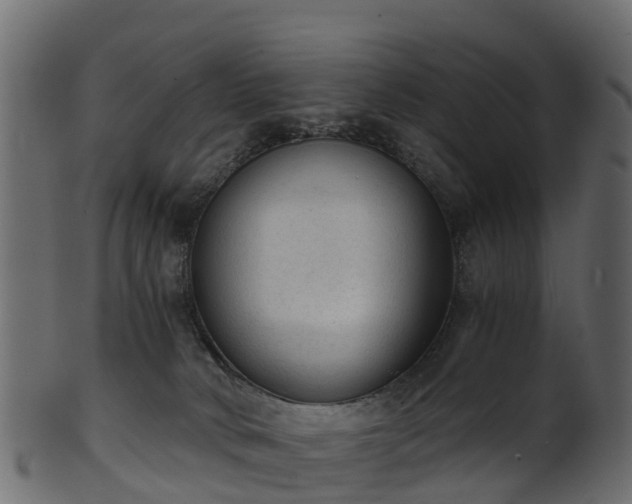 X0000101110034200807031750