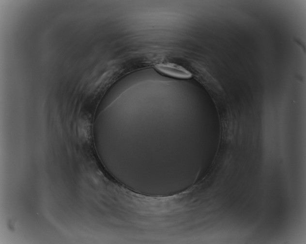 X0000101110035200807031750