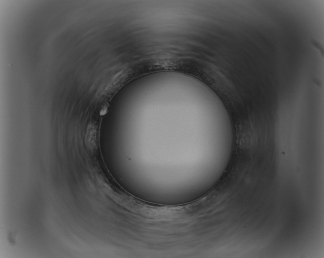 X0000101110036200807031750