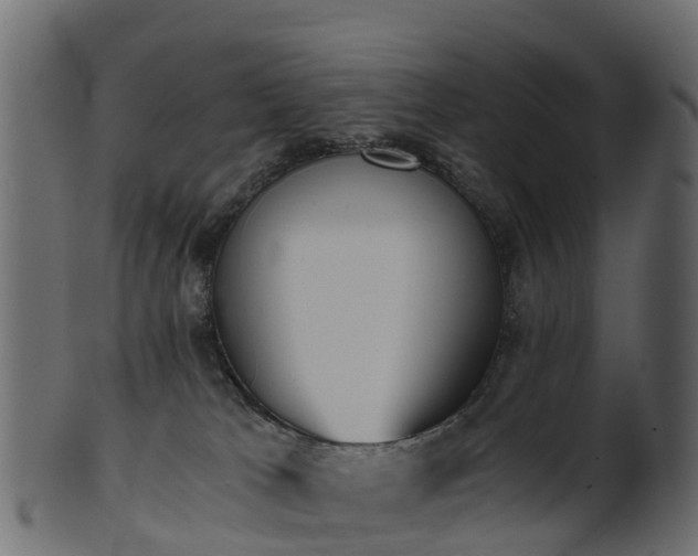 X0000101110037200807031750