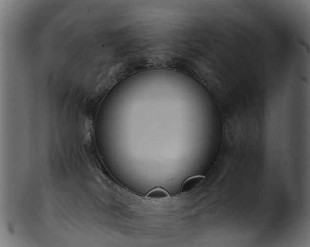 X0000101110038200807031750