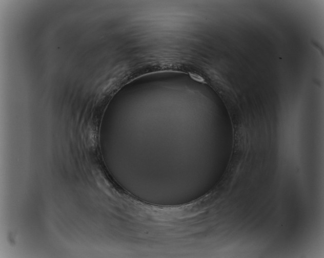 X0000101110039200807031750