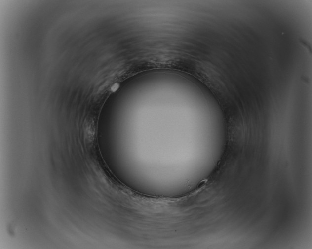 X0000101110040200807031750