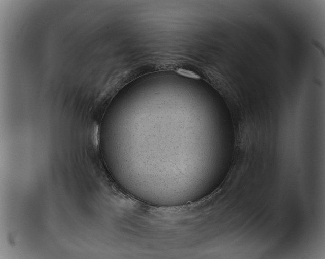 X0000101110041200807031750