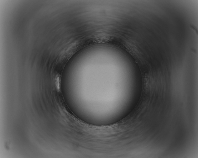 X0000101110042200807031750