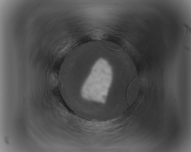 X0000101110043200807031750