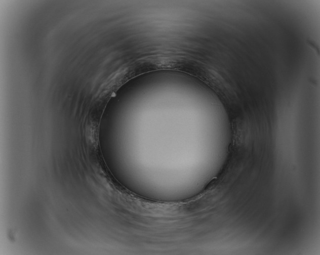 X0000101110044200807031750