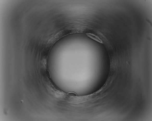 X0000101110045200807031750
