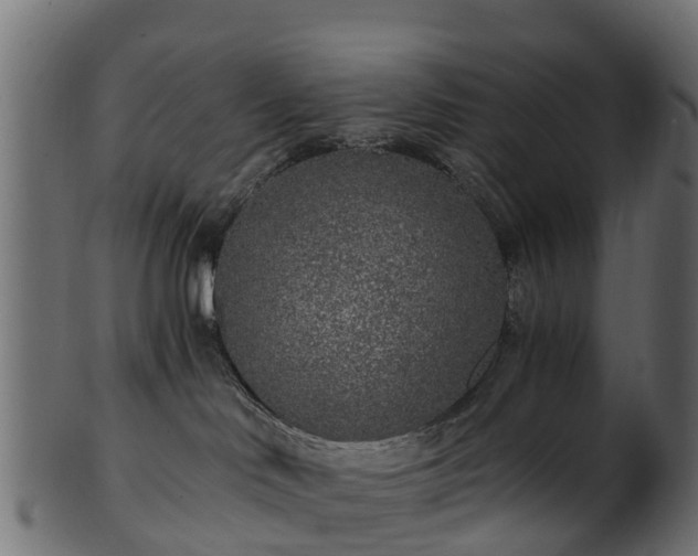 X0000101110046200807031750