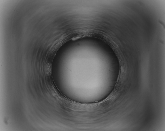 X0000101110048200807031750