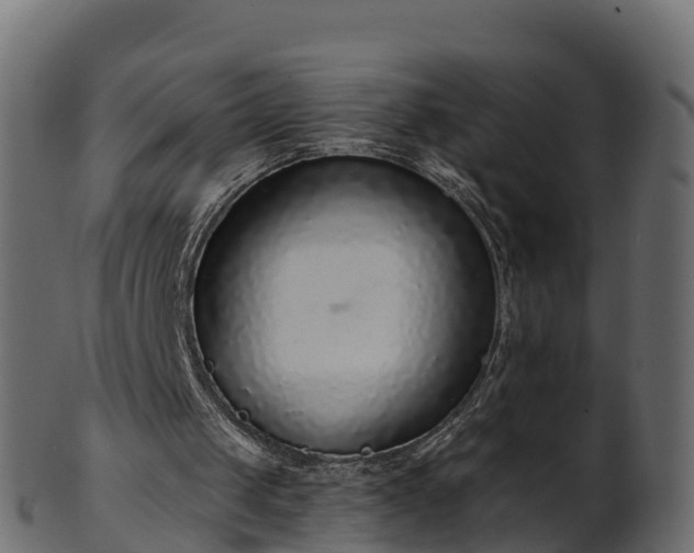 X0000101110049200807031749