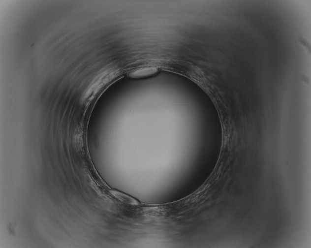 X0000101110050200807031749
