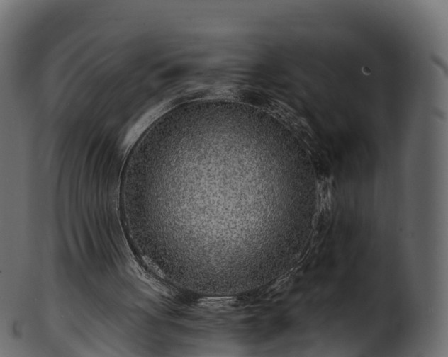 X0000101110051200807031749
