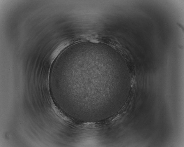 X0000101110052200807031749