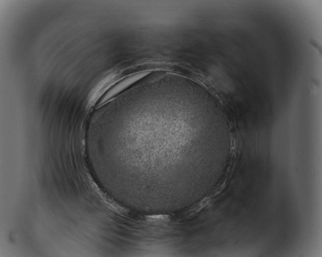 X0000101110053200807031749