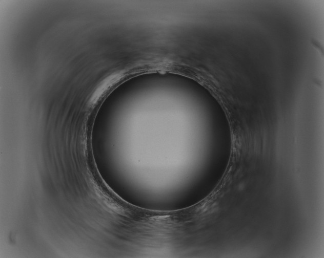 X0000101110054200807031749