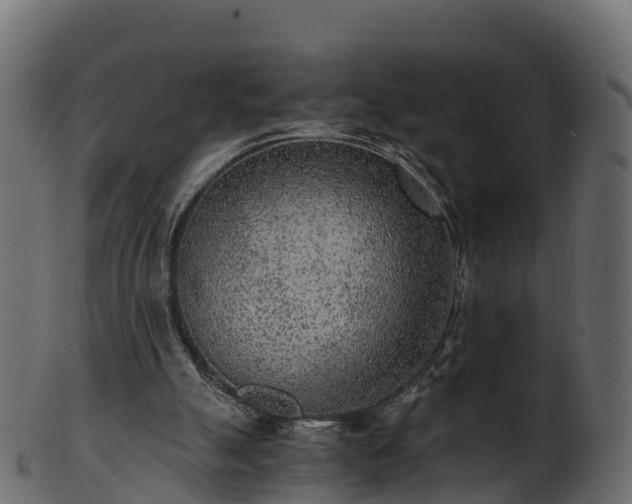 X0000101110055200807031750