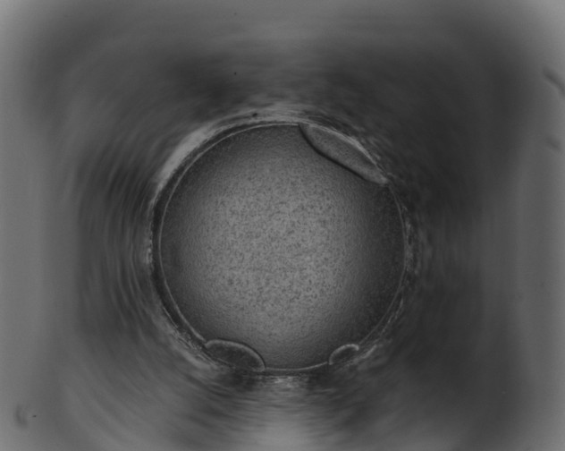 X0000101110056200807031750