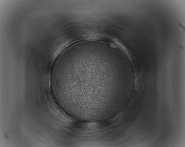 X0000101110059200807031750