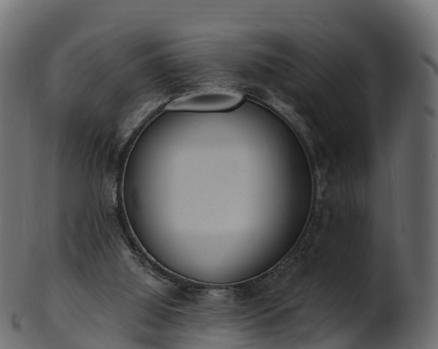 X0000101110060200807031750
