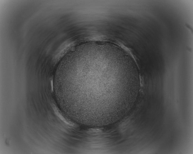X0000101110061200807031750